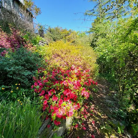 Lingmoor Holiday home Chapel Stile